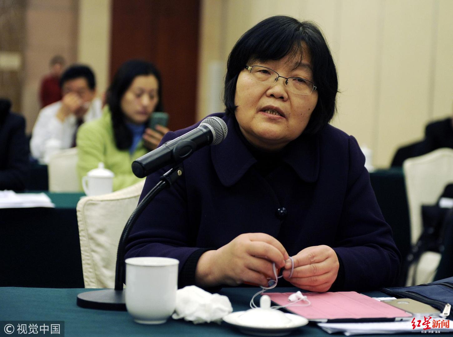 "税收法定"原则的呼吁者赵冬苓:今年呼吁制定财政法