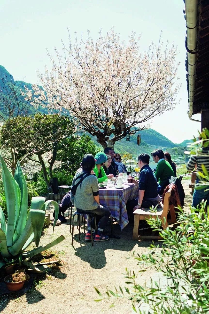 庭院里种着各种花草树木 春天到来的时候 约上好友在樱花树下吃饭谈笑