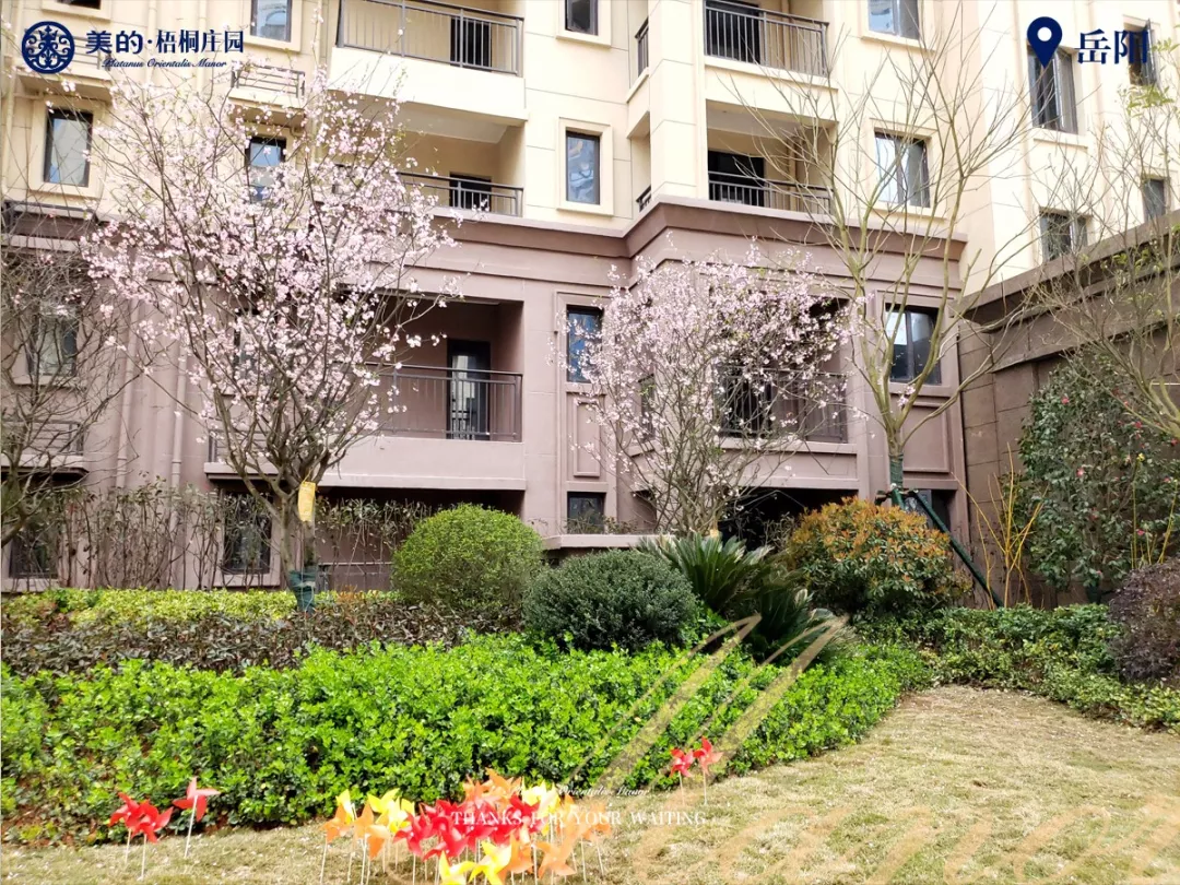 岳阳美的梧桐庄园在过去倾注的心血