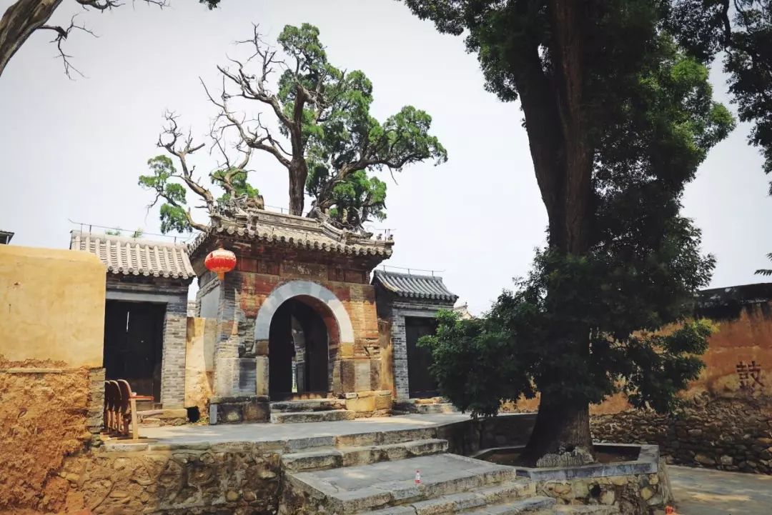 蓮花, 南堂北眺,北山翠柏,靈泉銀杏, 舉人宅院和寺廟遺址等