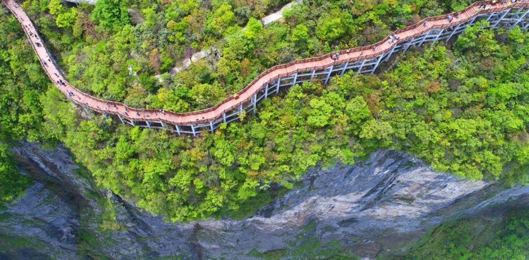 张家界天门山空中走廊图片