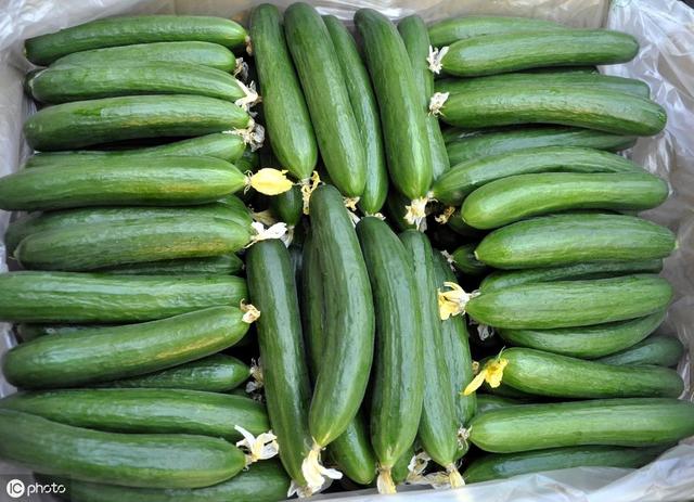 减肥多吃"3种瓜类,3种蔬菜",让你腰围暴瘦一圈!