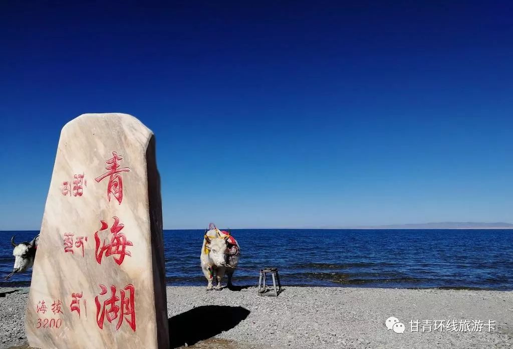 青海湖旅遊門票多少錢?青海湖景點門票?__鳳凰網