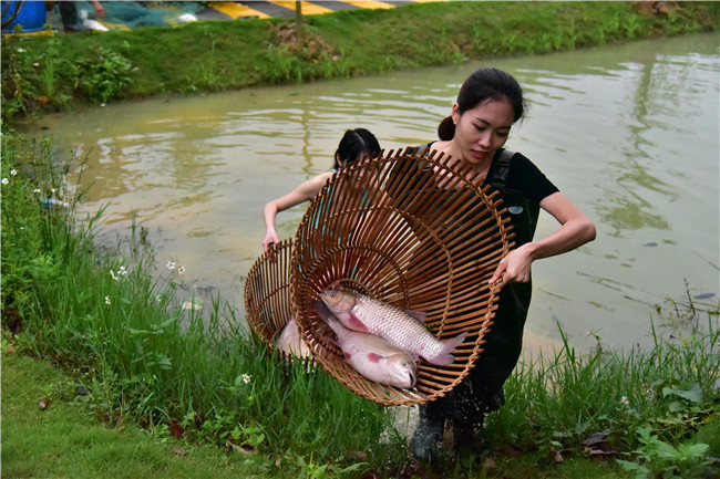 佛山渔耕园来了学捕鱼大学生不懂捉鱼玩残数十条大鱼