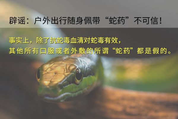 原来我们被骗了好多年,户外旅行的时候遭蛇咬后,这么做错错错!