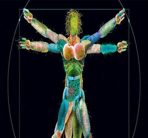 我们人体是由细胞构成组织,组织构成器官,器官构成系统,系统最后构成