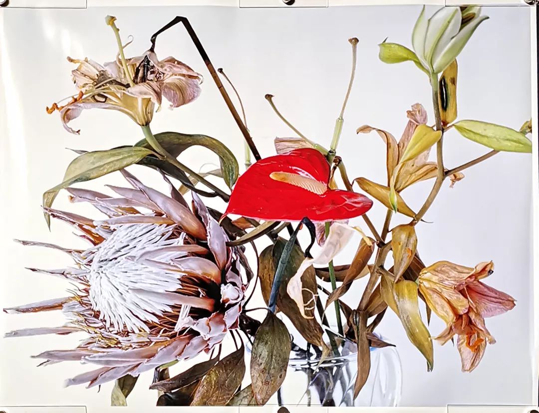 荒木经惟摄影展.花幽 | 南艺 #作品200p