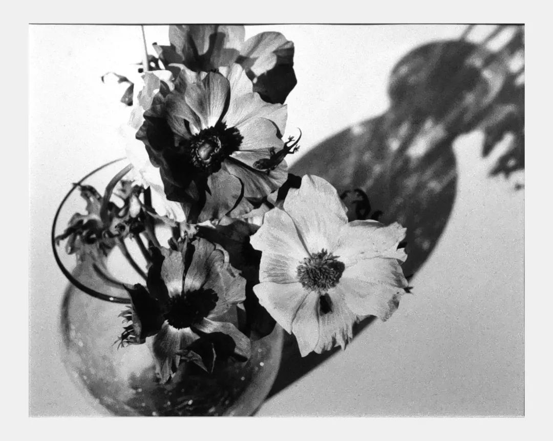 荒木经惟摄影展.花幽 | 南艺 #作品200p