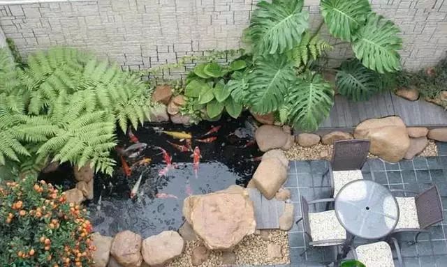 庭院鱼池位置图片
