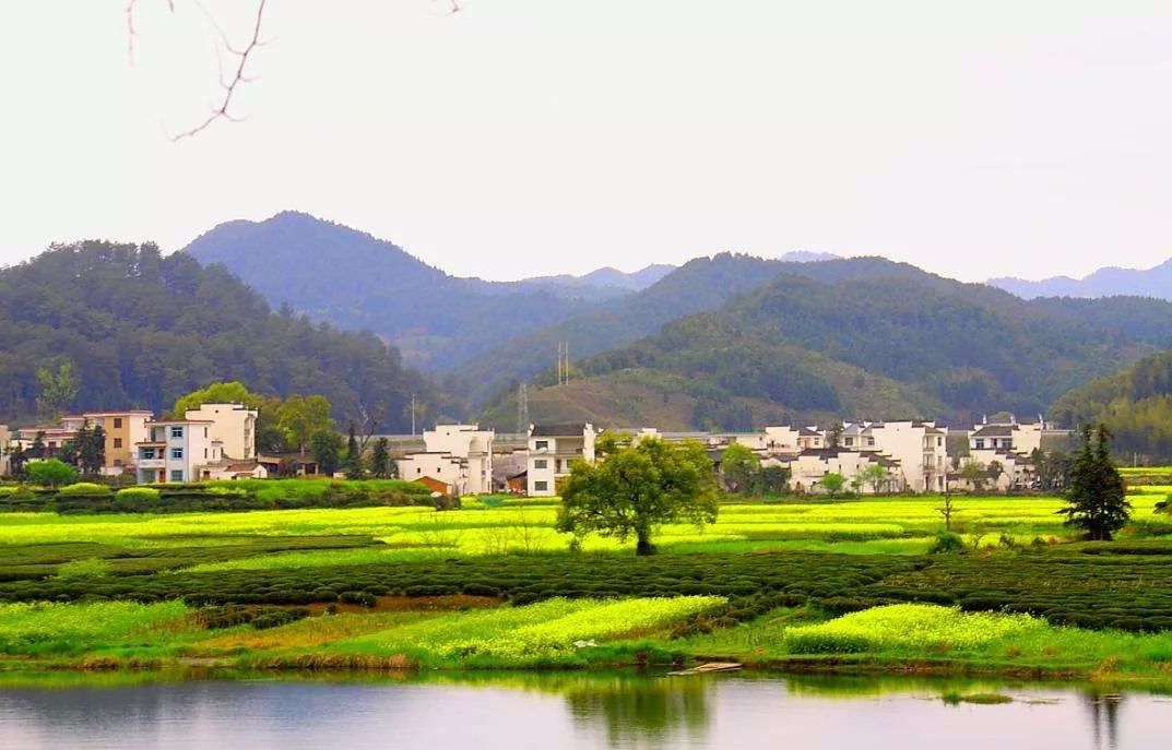 居住进化论:住在乡下__凤凰网