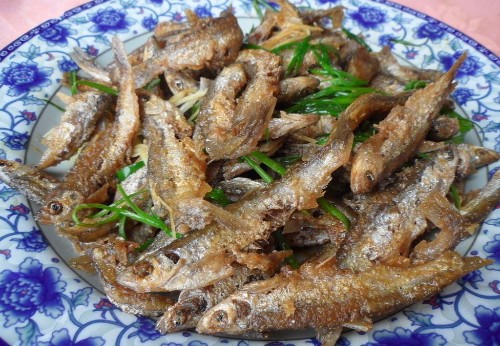 在龙门县南昆山山间小溪中还生活着一些鱼类,它们以水草,虫虾为食,无