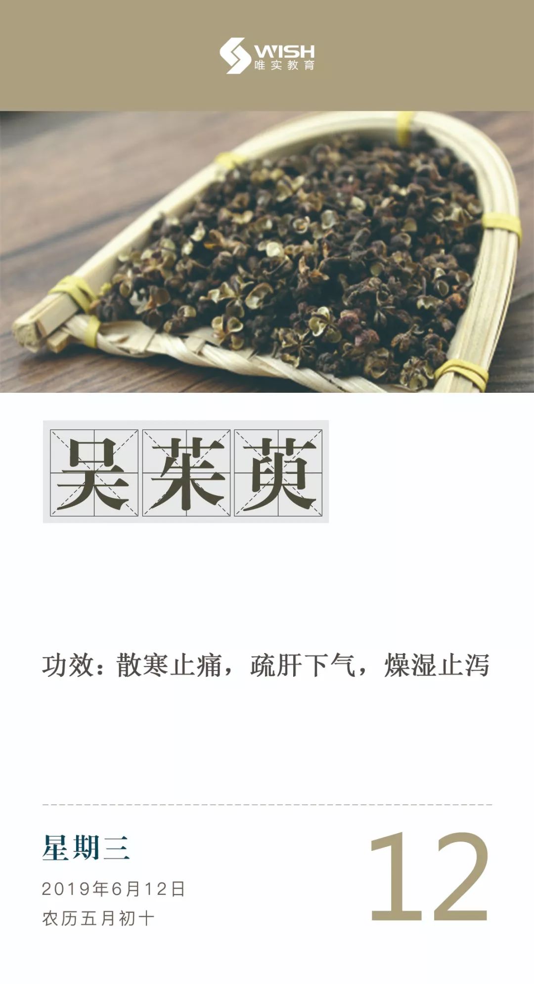 每日一药丨吴茱萸612