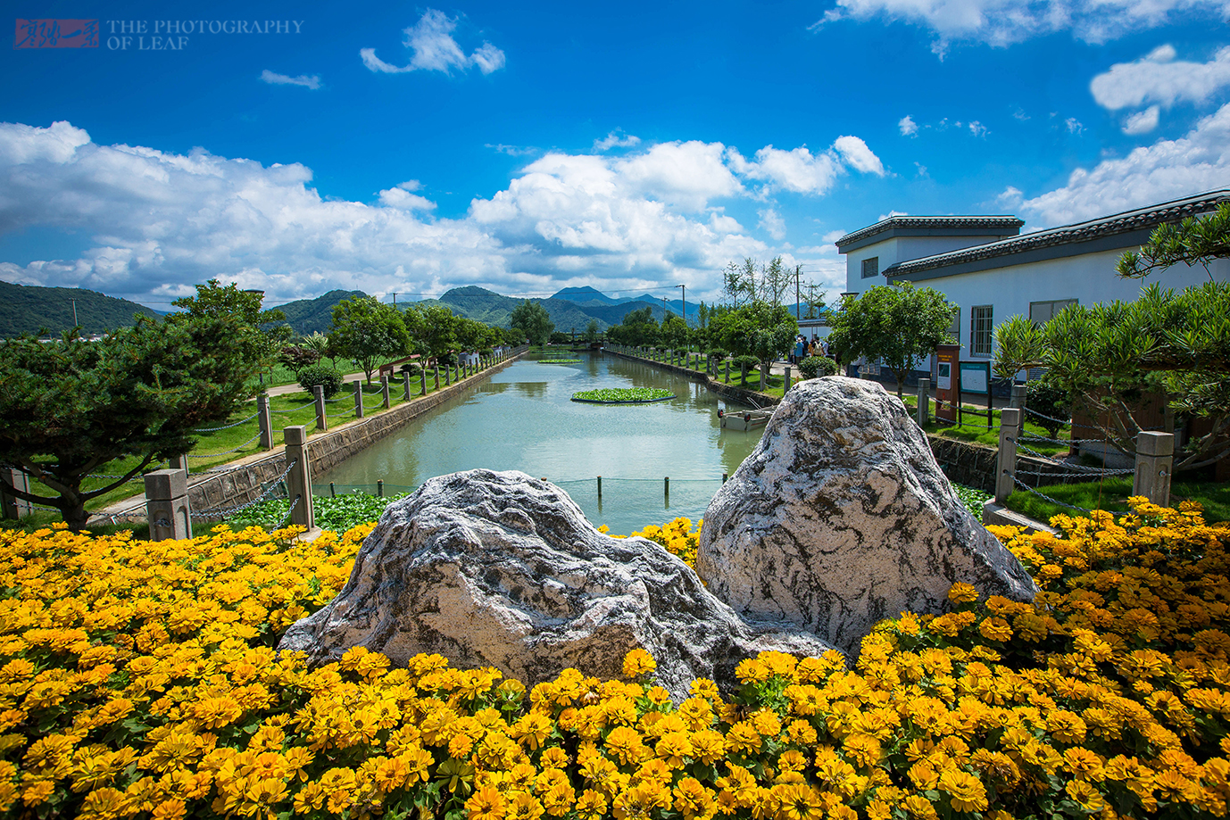 中国最美的农村,渔家人靠勤劳创造了美好的环境,看完我想住在这__凤凰