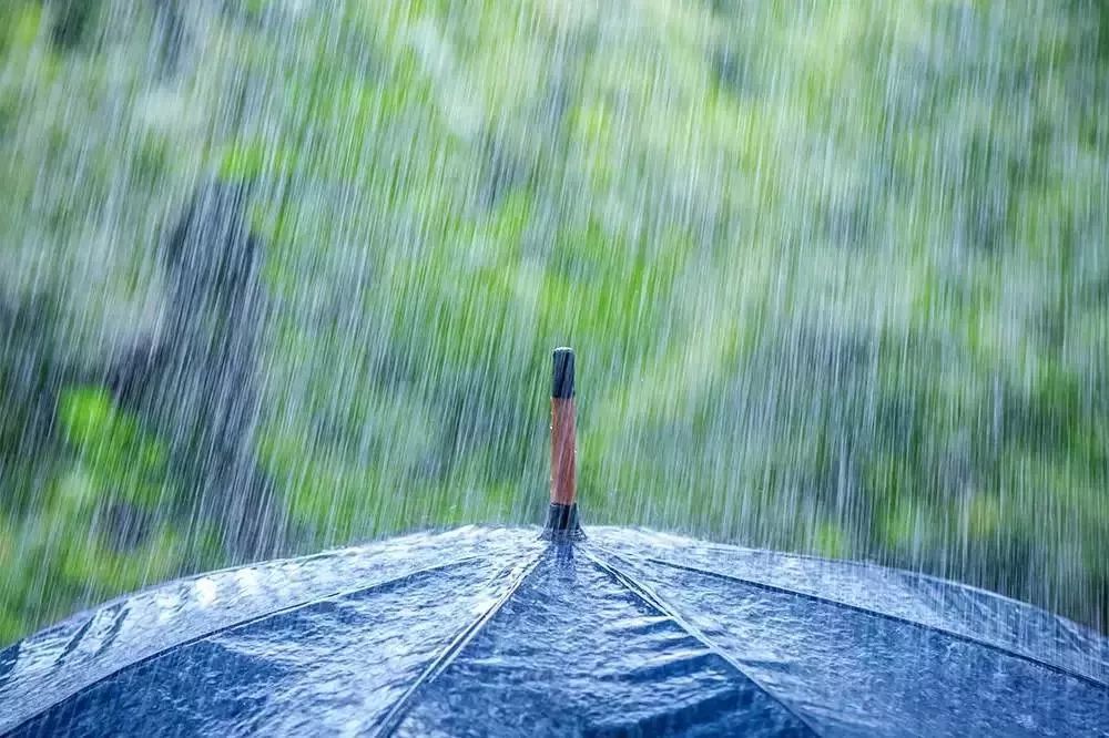 友成周末 | 夏天的雨落在古诗词里,浸润了整个流年!__凤凰网