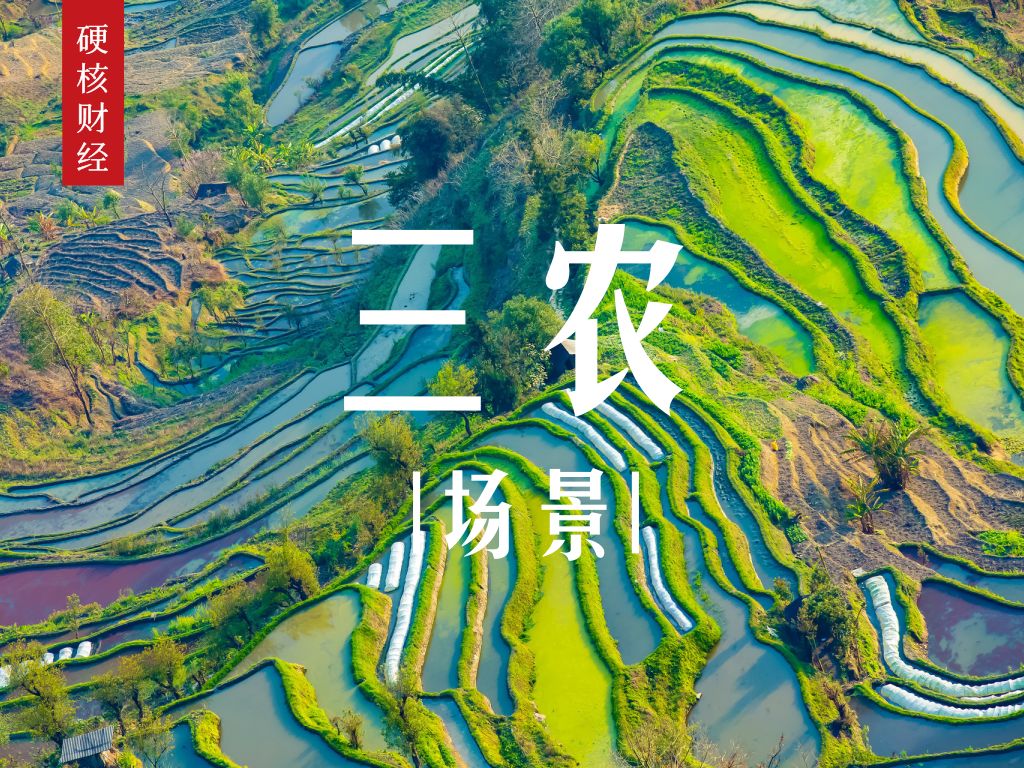 「硬核财经」“三农金融”需要切入“三农场景”做功课__凤凰网