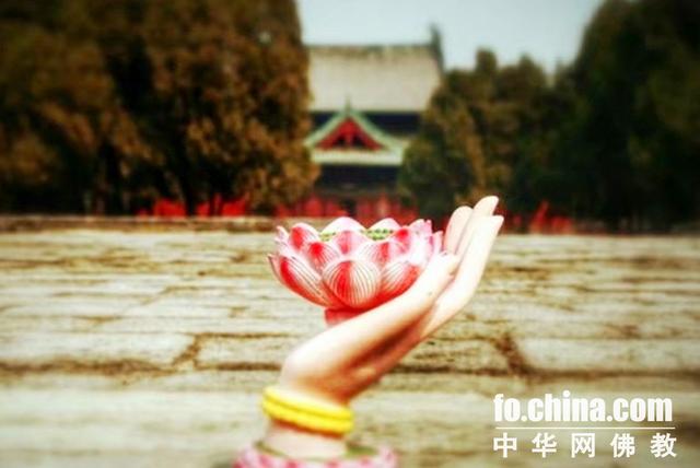 佛像手印识别指南：每一种手势都有不同的含义__凤凰网