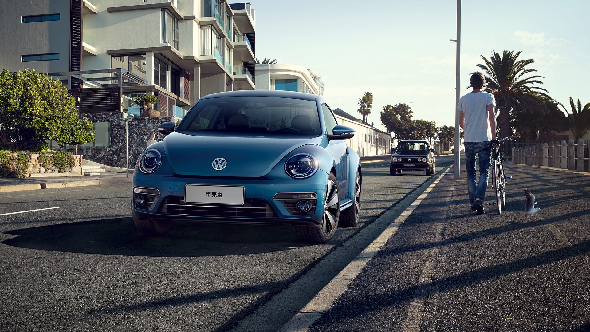 经典落幕大众汽车集团甲壳虫车型7月10日停产__凤凰网