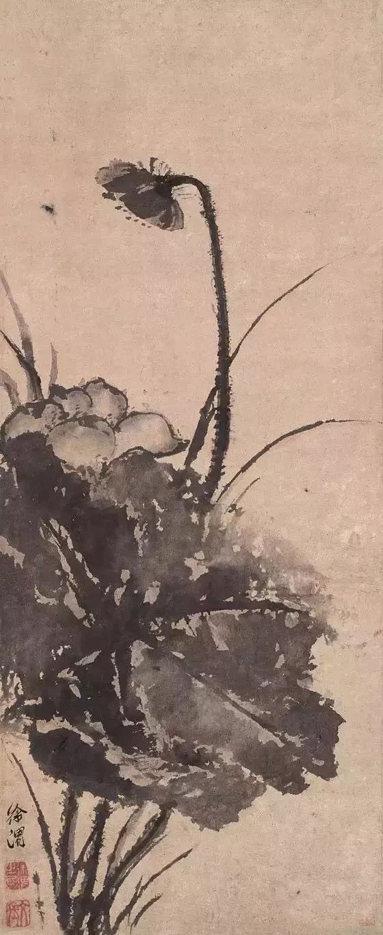 明朝狂人徐渭的水墨荷花,独树一帜__凤凰网