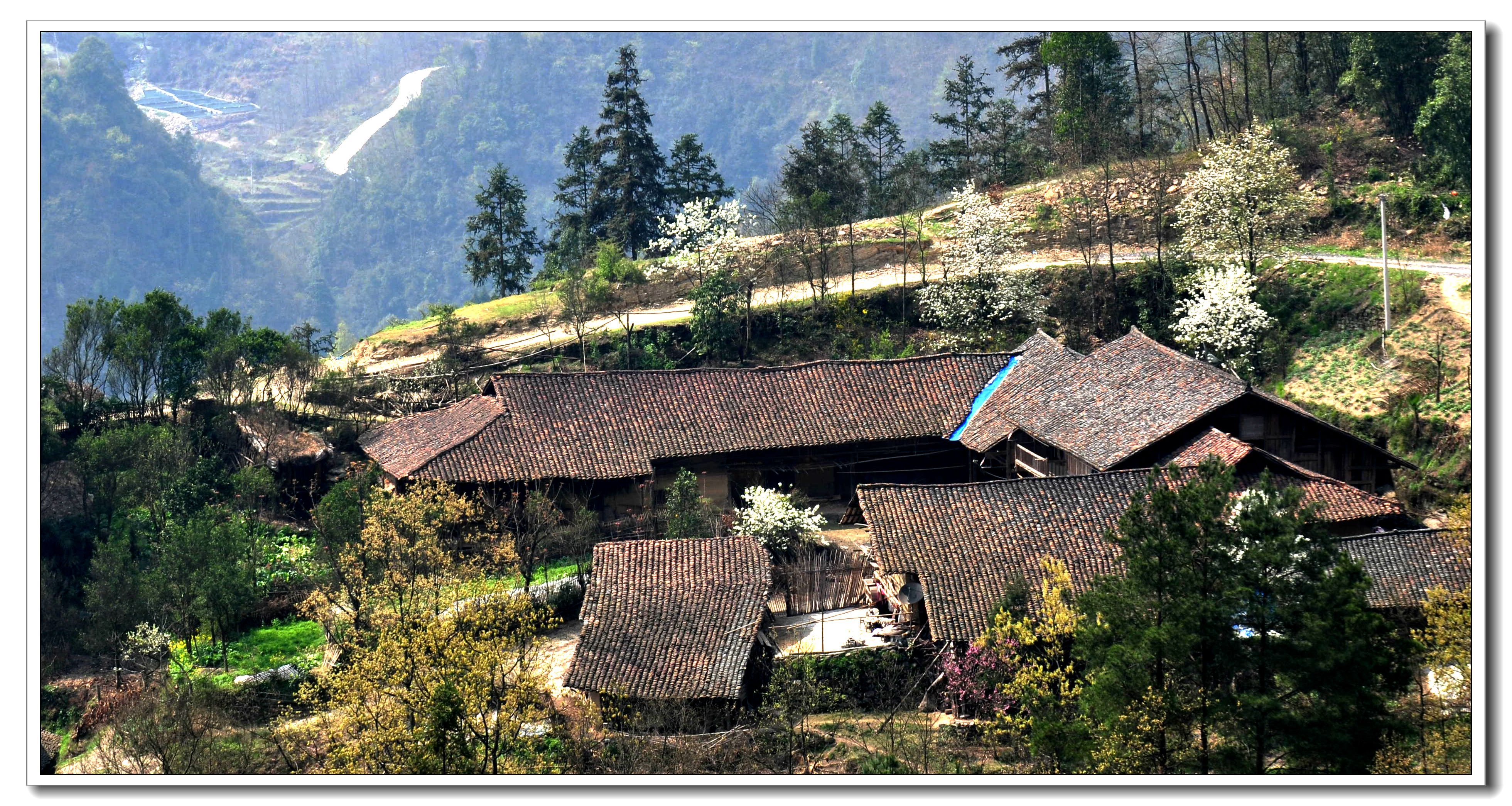 打开凤凰新闻,查看更多高清图片犀牛寨是一个历史非常悠久的古村寨.