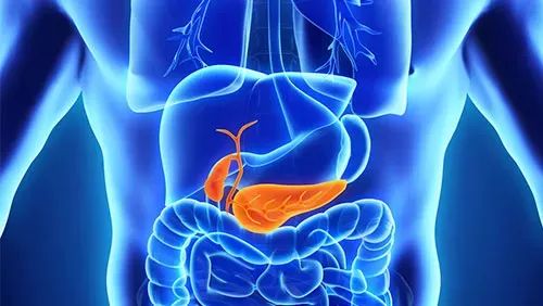 因为胆囊息肉可能导致胆囊功能异常;位置靠近胆囊管的息肉长大堵塞