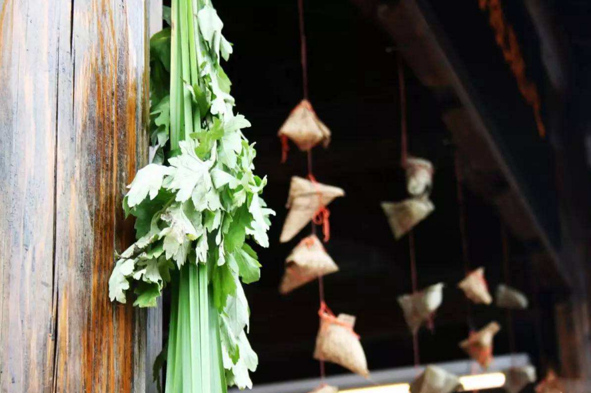 蕲客艾灸图解艾草防瘟疫的传说