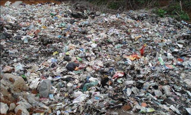 生态塑料,环保的塑料