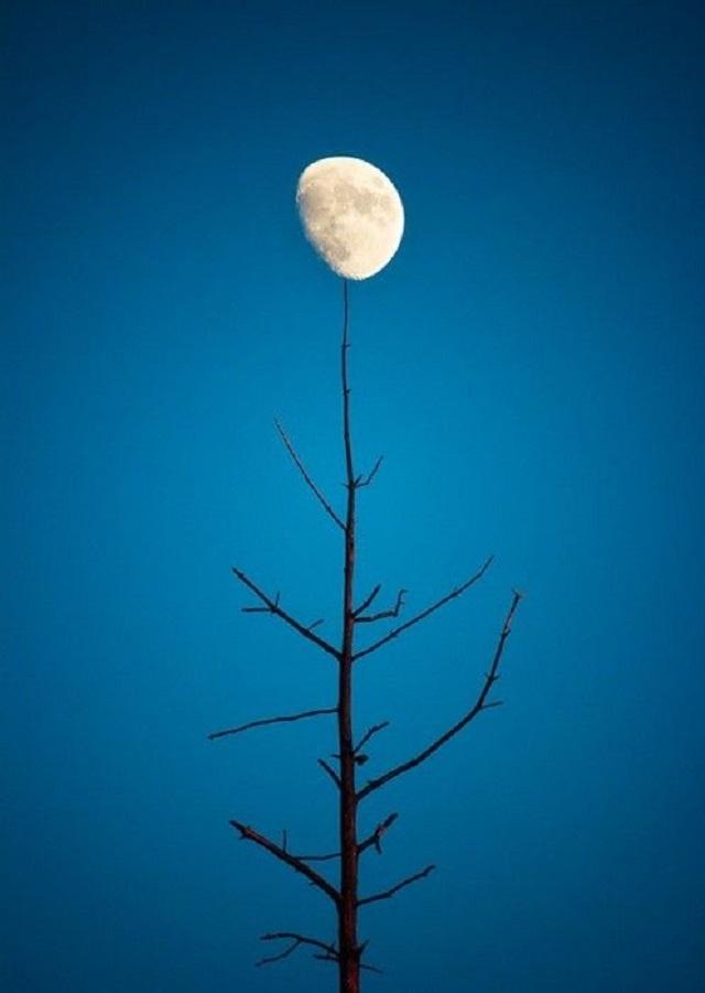 设计丨《一人一半才是伴》