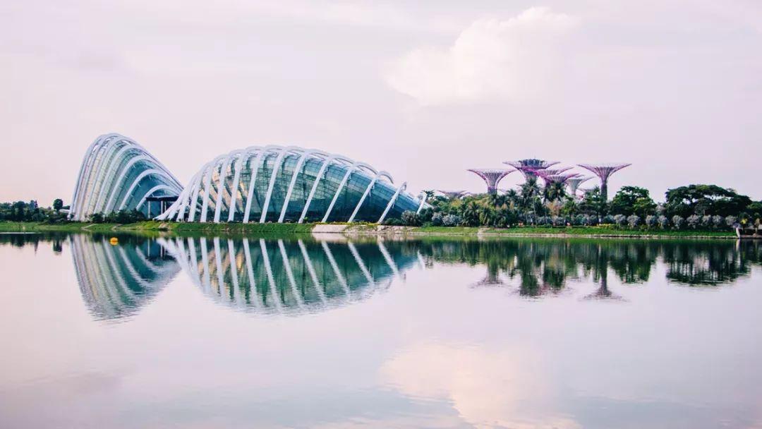 科普新加坡| 滨海湾花园的超级树__凤凰网