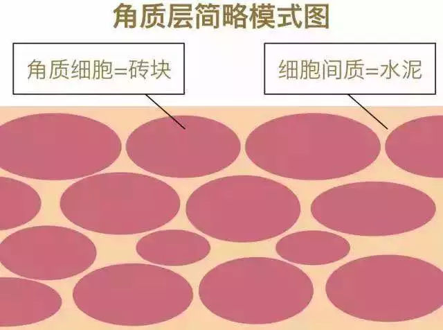 33岁的张雨绮敢爱敢恨,皮肤好得让人羡慕