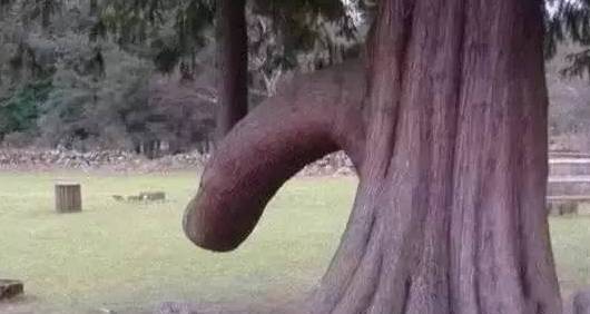 宣汉县百里峡风景区腹地,有一处着名景点叫羞女岩.