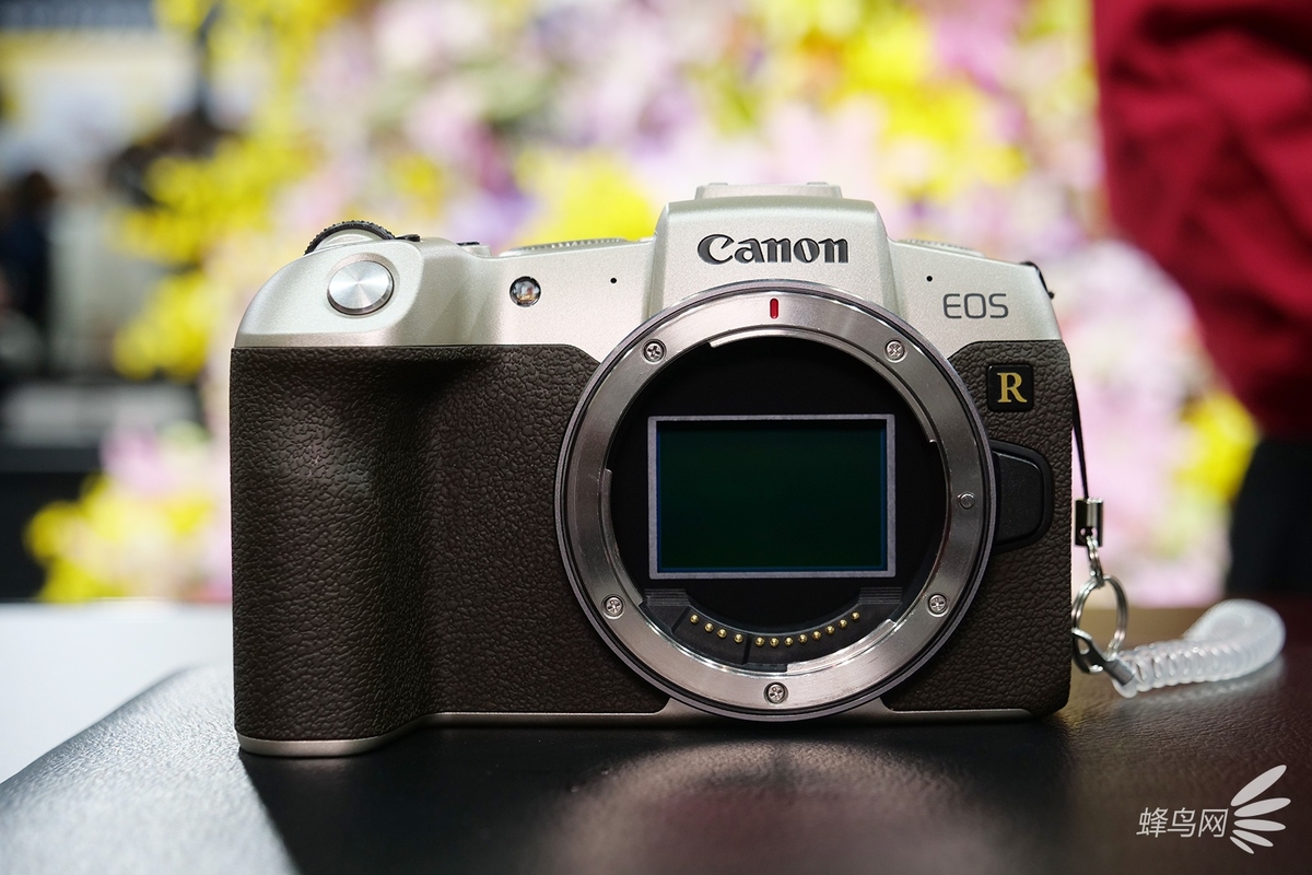 cp2019佳能eosrp金色限量版上手图赏