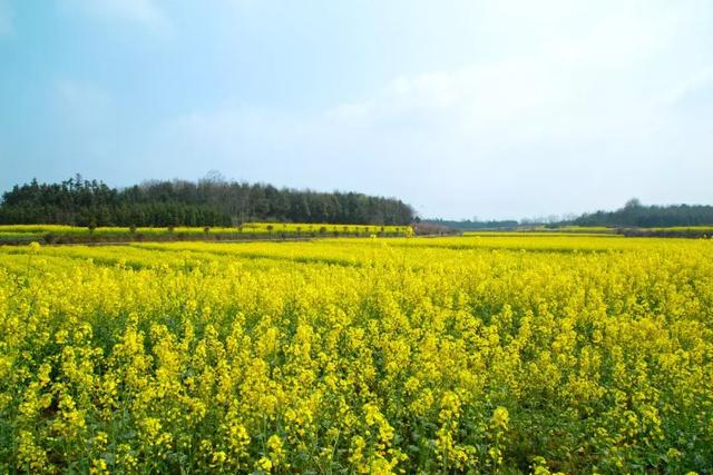 地点:咸宁市咸安区双溪镇