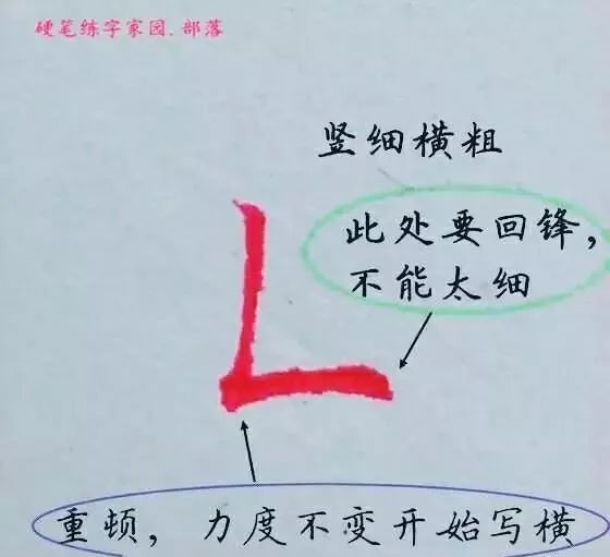 漂亮硬筆字書寫規律掌握後寫字如魚得水