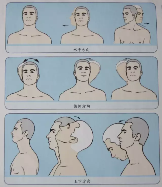 米字操其实就是将头部至颈部,向上下左右进行拉伸运动,每次持续 5秒
