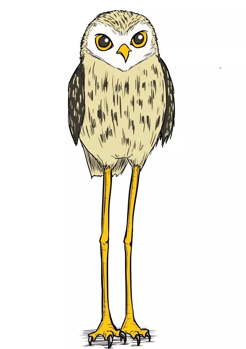 日本一画师,每次画动物画到一半都想放弃,然后就哈哈哈哈哈!宝藏啊!