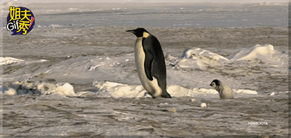 420_200gif 动态图 动图