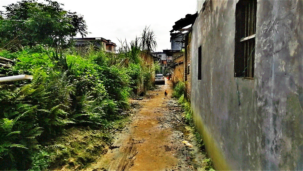 农村老家老旧的景象一如尘封多年的儿时记忆