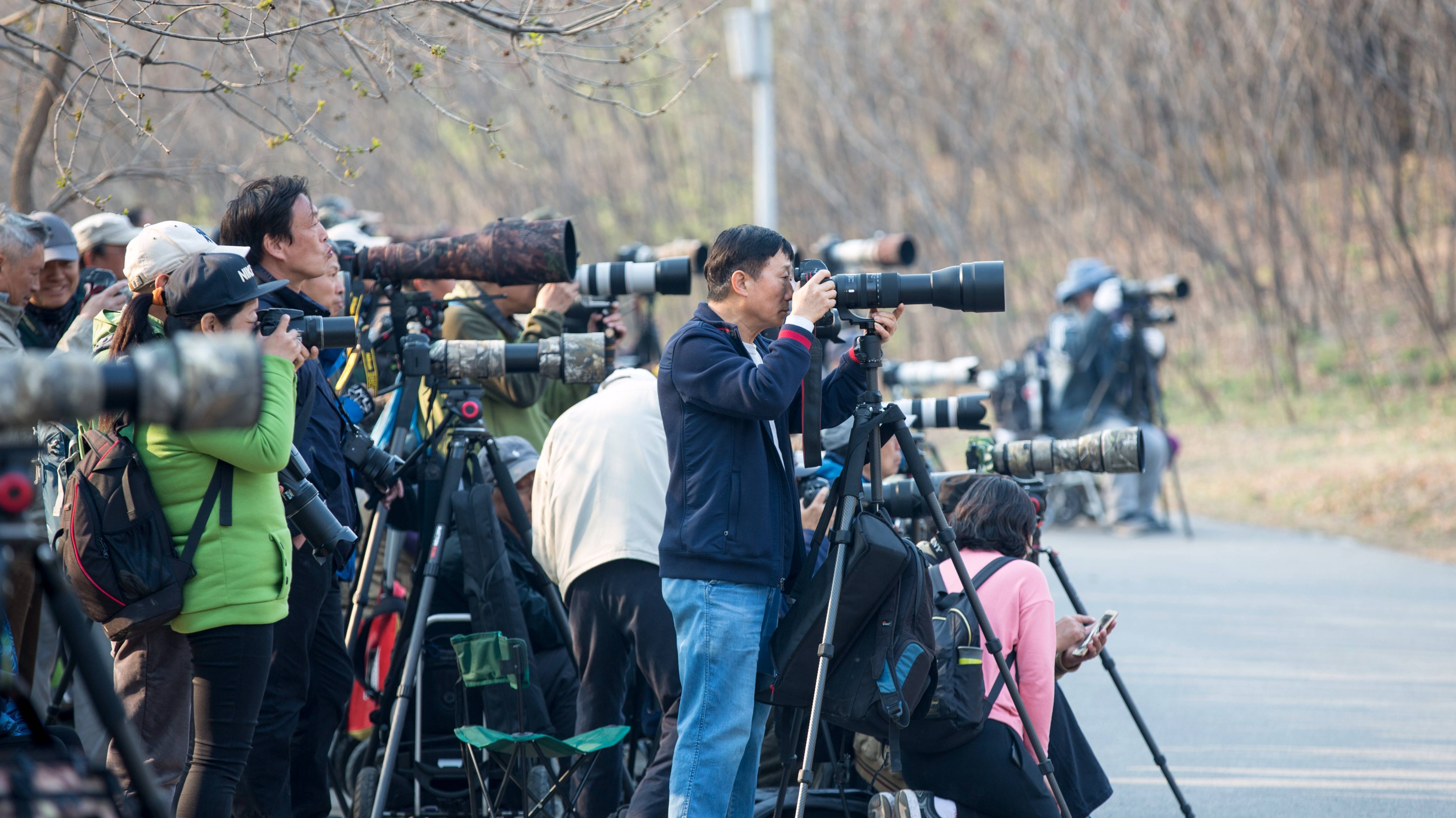 【虎嗅晚报】视觉中国:已下线国旗等不合规图片;维基解密创始人阿桑奇