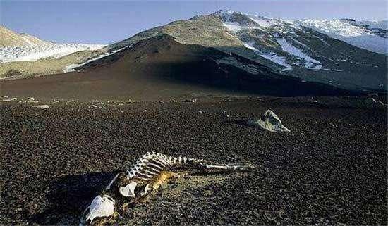 世界三大死亡禁区,风光甚美,其中一处在中国境内!