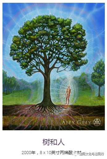 全景生命回顾,提升灵性意识,创造地球与天堂的连结