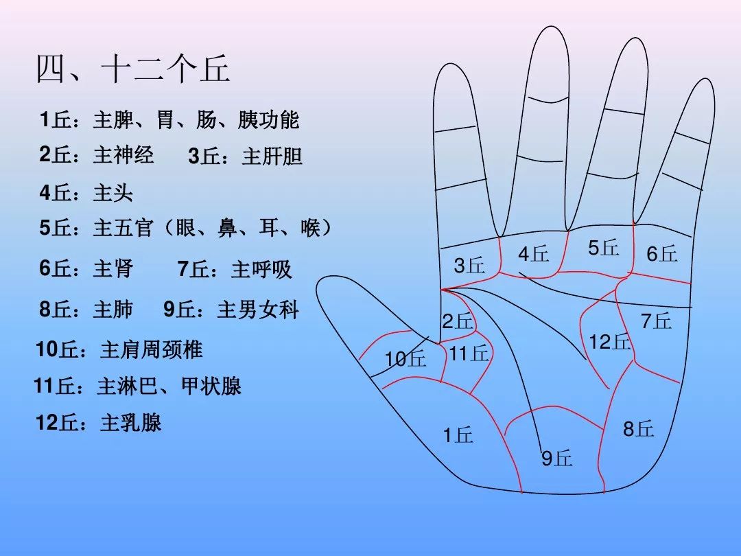 最全手诊（一看就懂）__凤凰网