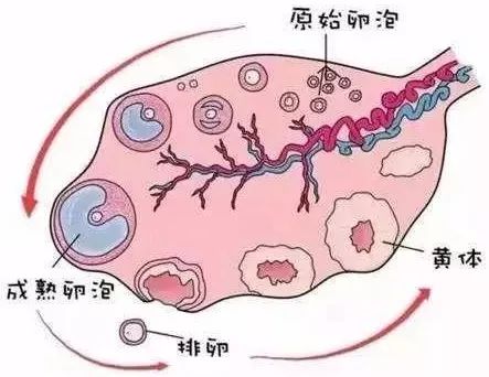 凤凰网