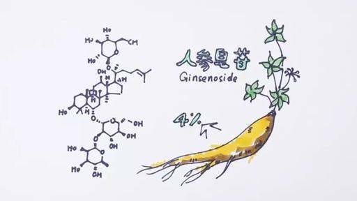 你知道人参皂苷吗?