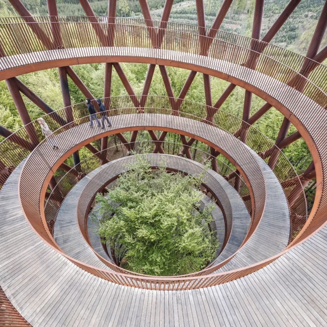 45米景观塔,体验漫步丹麦森林之上的独特感受__凤凰网