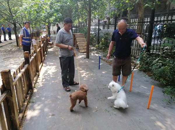 小区现狗狗专属游乐园郑州首例遛狗专区玩具等耗万元