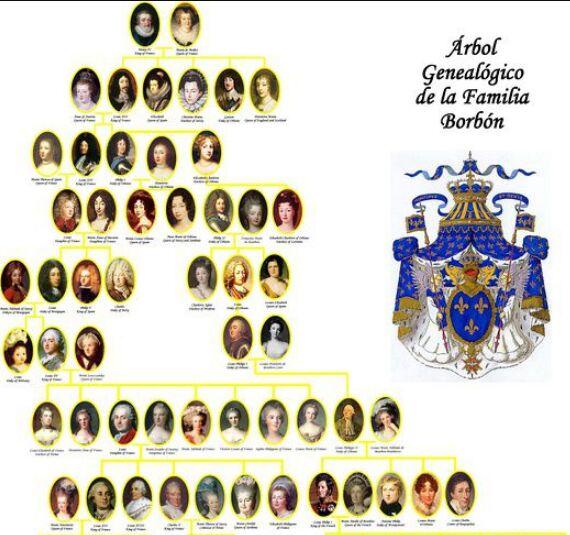 法国历史最强大的朝代称霸欧洲将近半个世纪最终被大革命推翻