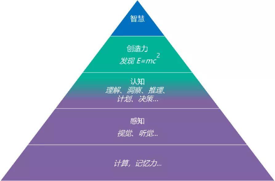 智慧金字塔第9阶段图片