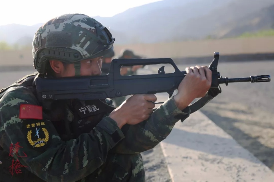 既然提督那么喜欢piapiapia俺就赞助一篇