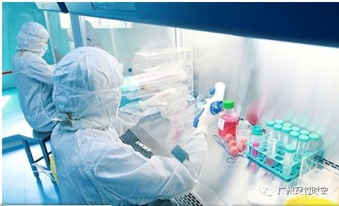 只需配合医生,从捐献者的外周血内提取出足够的造血干细胞,一个生命患