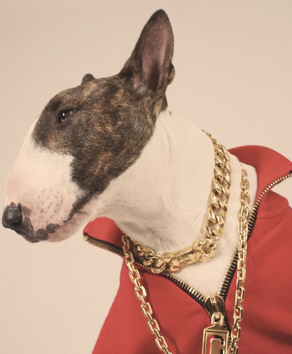 不仅长得比你可爱穿搭还比你更努力更有型